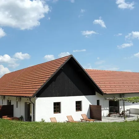 Апартаменты Apartmaji Gospoud Srmak *