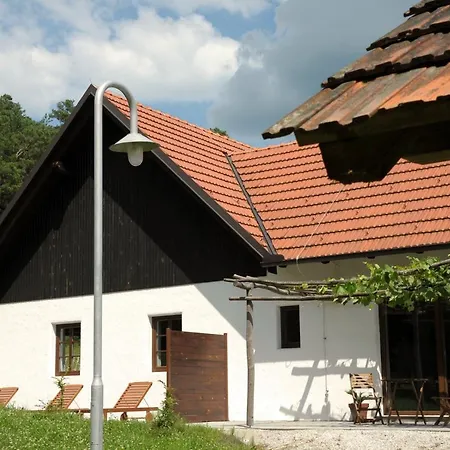 Апартаменты Apartmaji Gospoud Srmak