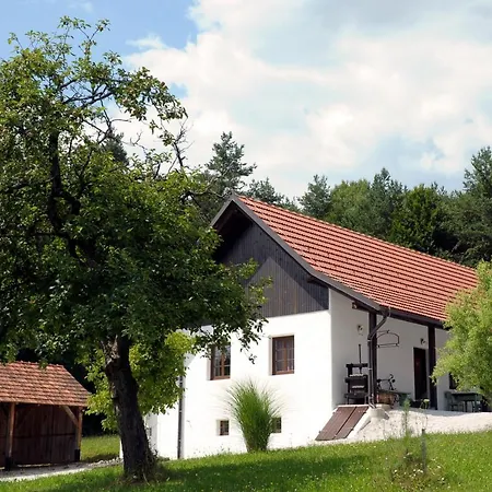 Апартаменты Apartmaji Gospoud Srmak *